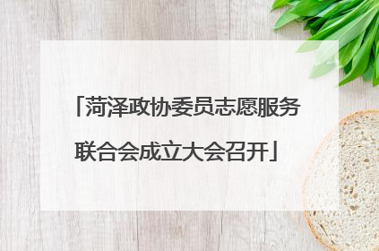 菏泽政协委员志愿服务联合会成立大会召开
